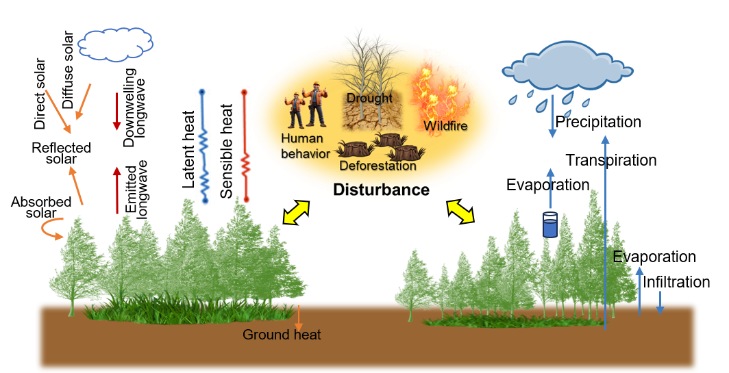 example image