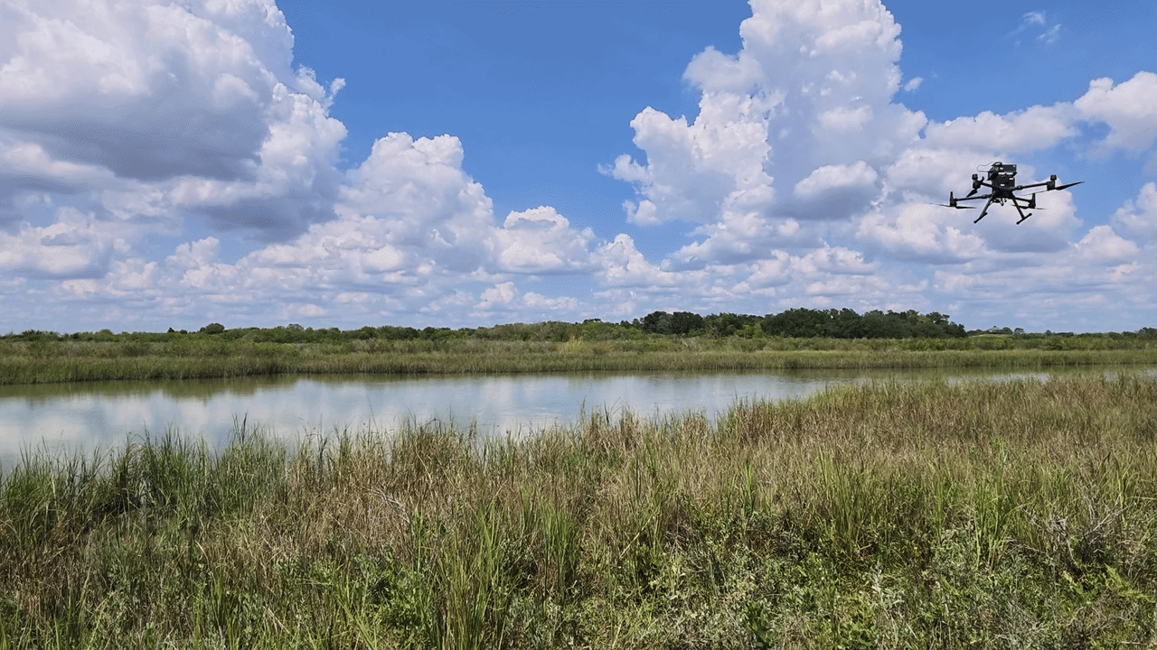 Coastal wetland fieldwork